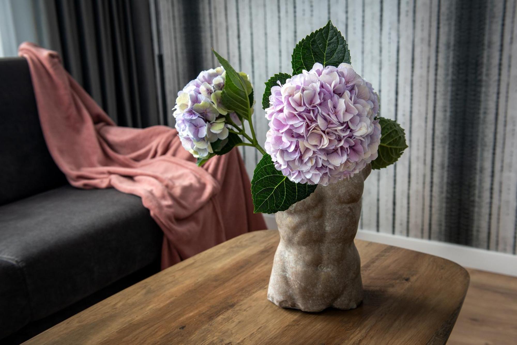 Inpoint Spacious Apartments Near Main Square & Kazimierz District 克拉科夫 客房 照片